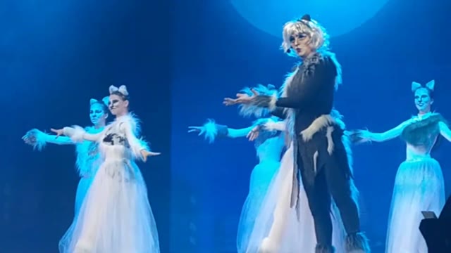 Исполнители в кошачьих костюмах на сцене в голубом свете